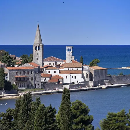 Mareta